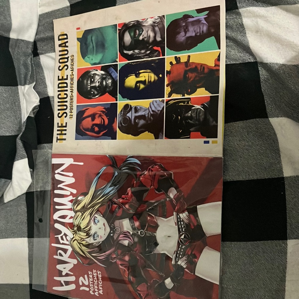 2 packs of room wall poster